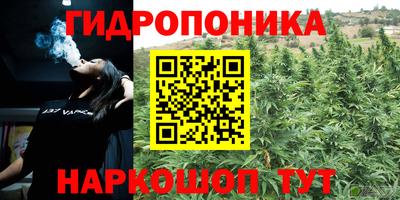 гидра Апрелевка