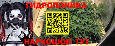 стаф Аргун