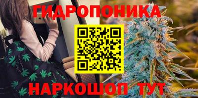 стаф Аргун