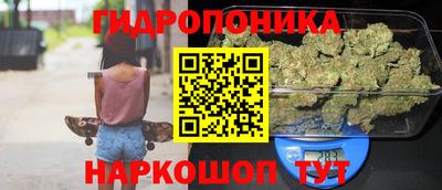 стаф Аргун