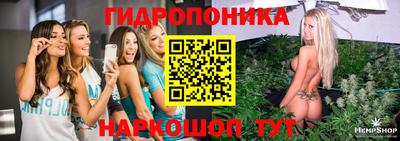 гидра Апрелевка