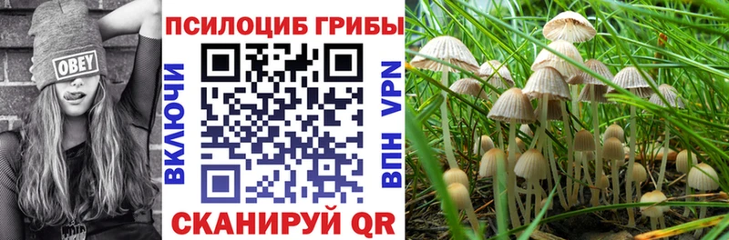 kraken ССЫЛКА Белово Псилоцибиновые грибы мухоморы