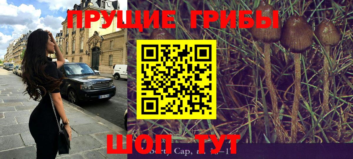Галлюциногенные грибы прущие грибы Белово